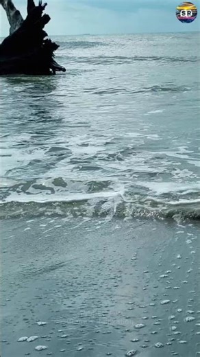 The Gentle ASMR Sound of Waves Can Relax You in Seconds,. #asmr #shorts #relax