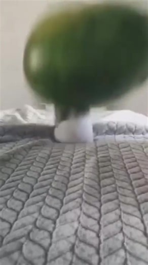 don't put in 3.0 speed 🤯😱😱 #minecraft #minecraftmemes #memes #minecraftbedrock #minecraftjava