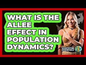 What Is The Allee Effect In Population Dynamics? - Ecosystem Essentials
