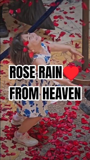 The Most Beautiful Miracle in Rome Rose Rain in Pantheon #Vatican #rome #Italy #popeleoxiv #pantheon