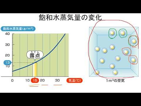 基礎から学ぼう！飽和水蒸気量と湿度