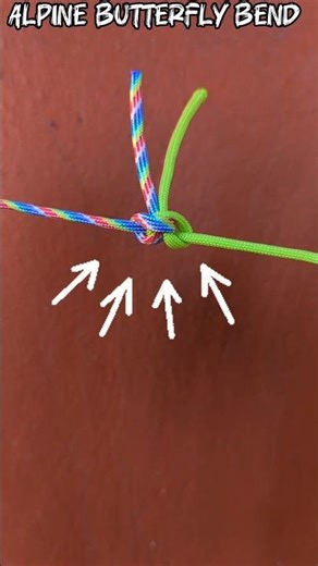 Knot Tutorial/ Alpine Butterfly bend.