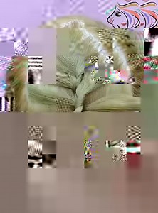 1.1M views · 24K reactions | Create a new hairstyle for your baby | New hair | Facebook