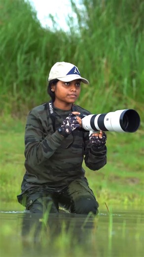 15K reactions · 84 shares | Introducing my Motu 簾:- The smooth-coated...