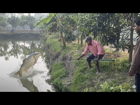 Giant Monster Carp Catch! Amazing Fishing Skills in the Village 🎣2026 #Fishing #Hok #video
