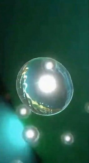 PHOTOSYNTHESIS Explained How Plants Turn Sunlight Into Energy! Stunning 3D Animation