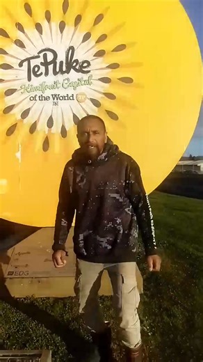 20K views · 640 reactions | Known as the kiwi fruit capital of the world Te Puke | Porkypig Hawira | Facebook