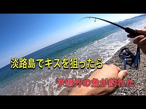 【淡路島】綺麗な砂浜でキスを狙ったら予想外のカワハギが釣れた！