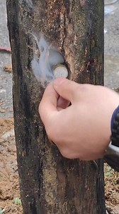 Video Entertaiment #idea #hacks #ideatimes #fbreal #tool #creative #invention #best #fbreals #Amazing #viral | Eric Brenner