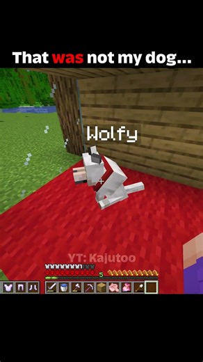 That was not my dog #usa