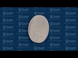 1 oz Platinum Canadian Maple Leaf Coin