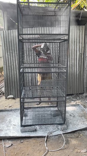 Cage Colour update | Cage factory Bangladesh