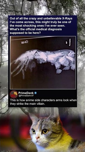 Anime physics be like 🦴 | funny memes | relatable American memes | dank memes