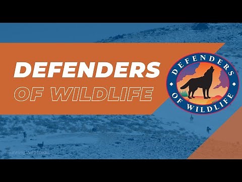 Defenders of Wildlife