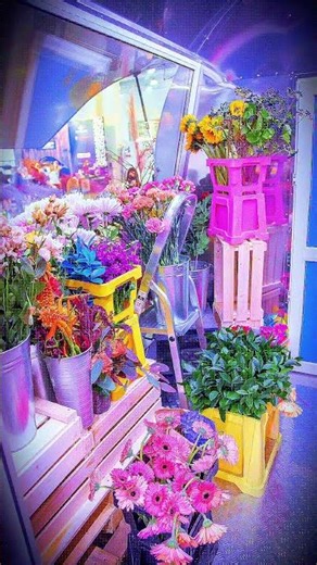 We manufacture MOBILE BUSINESS UNITS ON the WHEELS.. Nationwide delivery from Florida.