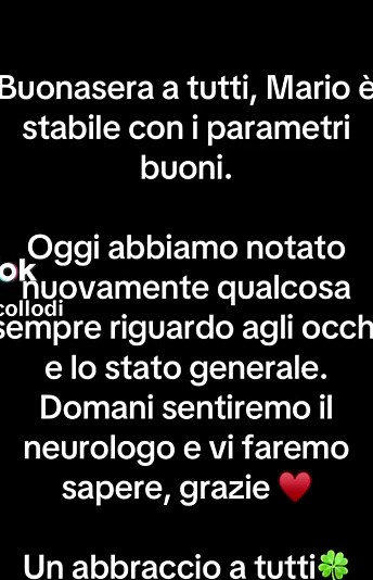 Claudia Collodi su TikTok