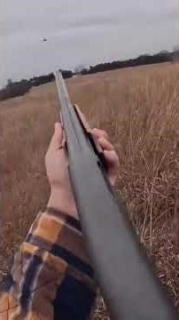 Missed and bum shoulder on fire, done for the year yuck