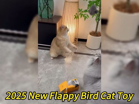 Flapping Bird Cat Toy, Interactive Flying Bird Cat Toy for Bored Indoor Cats, Rechargeable Flapping Wings With Catnip, Touch Activated Kitten Toy, Lifelike Chirp for Small/Adult Cats (Chickadee)