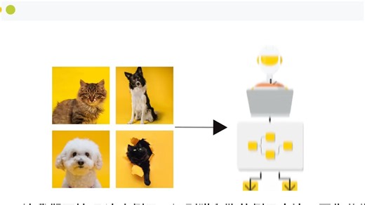 6.在KNIME中构建图像分类应用