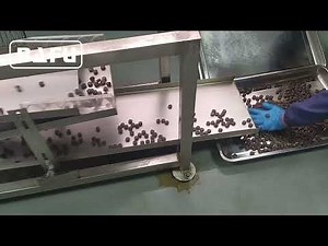 Batch Roller, Rope Sizer, Candy Forming Machine, Candy Making Machine, Candy Production Line