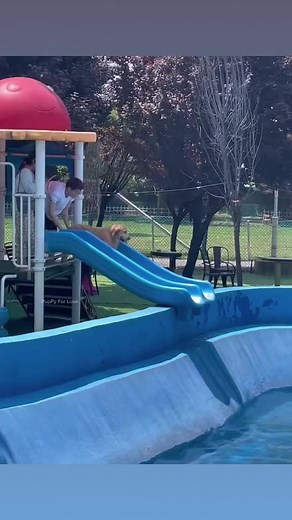 3.2K views · 146 reactions |  | Dog World | Facebook