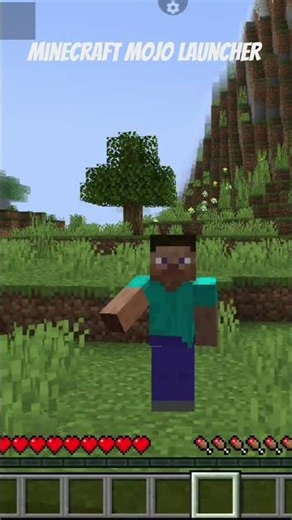 minecraft mojo launcher #minecraft