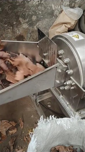 Moringa Leaves Powder Making Machine