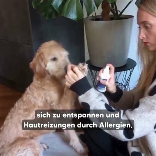 Stoppt Juckreiz bei Hund & Katze. Sofort.