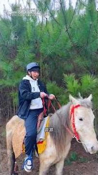 I rode a horse #shorts #horse #facts