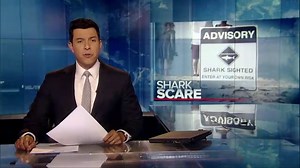 Authorities issue warning over potential shark attacks in Cape Cod this summer