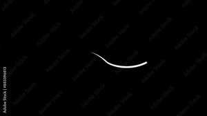 firework, ribbon, explosion, fireworks, fire line white colour and background black ,outline design curve geometry highlight infographic movement, firework explosion line animation