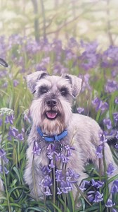 3.6K views · 362 reactions | Here's a wee video showing some closeups of the finished bluebell piece. Plenty of background noise too ☺ Unison Colour Soft Pastels portrait on Hahnemühle velour pastel paper | Emma Colbert Art | Facebook