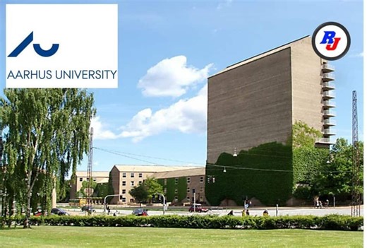 Postdoc in Materials Science & Engineering, Aarhus University, Denmark