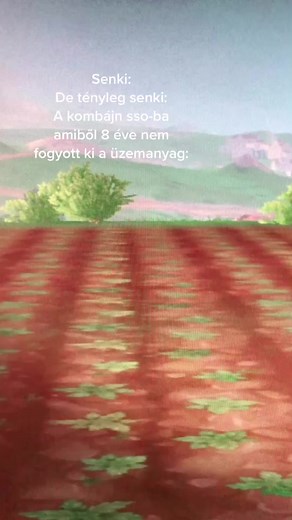 ♥️♥️ a TikTokon