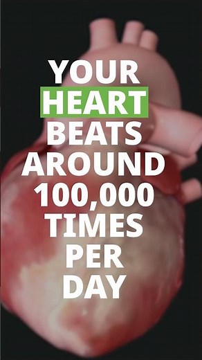 Blood Flow Through the Heart Explained