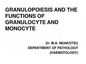 GRANULOPOIESIS AND THE FUNCTIONS OF GRANULOCYTE AND MONOCYTE - SlideServe