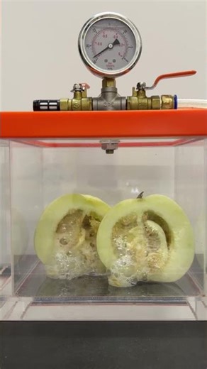 🔥 Vacuum vs Melon?! 😳 (Will It Explode?)