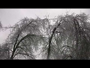 January 2009 - Trees breaking after Northwest Arkansas ice storm