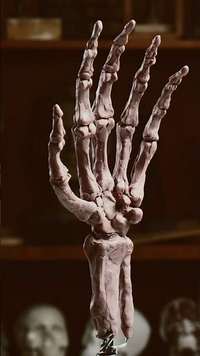 Reference For Sculpting The Hands 🙌 Anatomy for artists