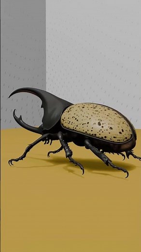 Hercules Beetle | One of the Strongest Insects in the World | Amazing Insect Facts