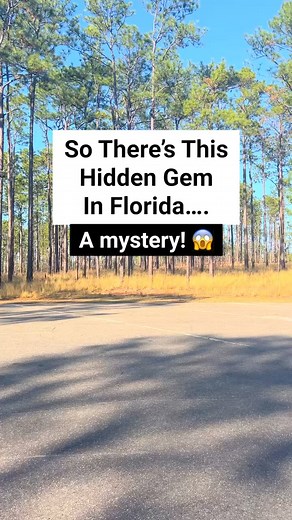 72K views · 802 reactions | Did you know we have waterfalls in Florida? Natural waterfalls in Florida are a great way to get your outdoor fix. #waterfalls #fallingwater #statepark #statepark #naturalsprings #floridasprings #floridaspring #floridalife #vacation #floridaparks #florida #visitflorida #adventure #floridatrip #beautifulplaces #getaways #beautifuldestinations #floridavacation #traveladvice | Florida Trippers | Facebook