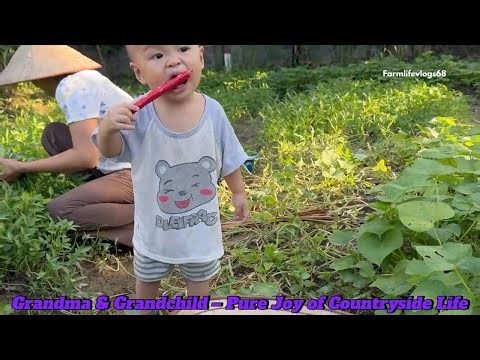 Rural Life in Vietnam Simple Yet Full of Soul