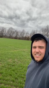 18K views · 485 reactions | Give me wheat farming tips | The Popcornfarmer | Facebook