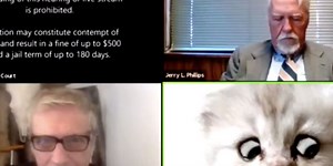 Why the now-infamous video of a lawyer in cat Zoom filter went immediately viral