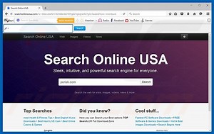 Searchonlineusa.com Redirect