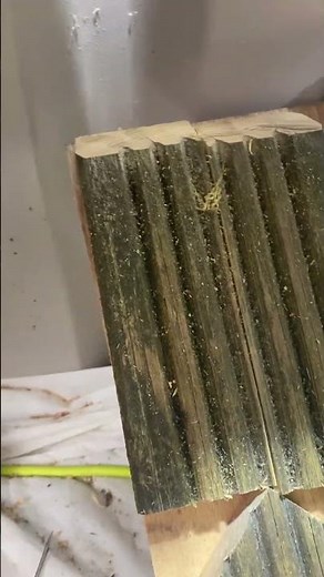 Making a bird box from scrap wood