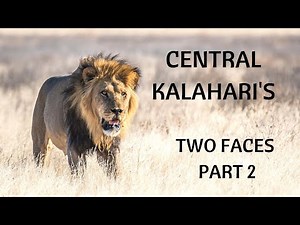 Central Kalahari Part 2