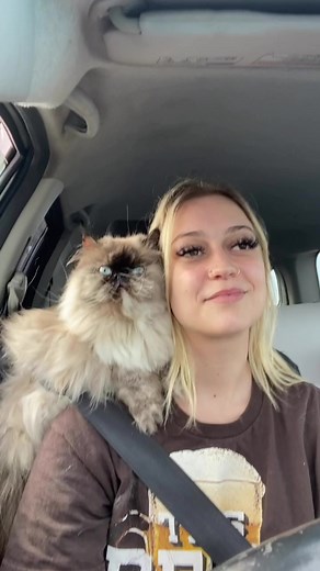 I’m like a pirate except instead of a parrot on my shoulder it’s this weird little cat 💞