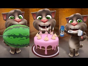 MY Talking Tom Pool With ✓ Cartoon Talking Tom Friends ✓ Meo' Meo' Cat 🐈🐔