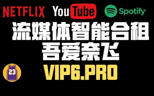 VIP6.PRO稳！Netflix奈飞账号智能合租平台/账户到期一键续费/车位自选账号秒发/4K超高画质/工单售后